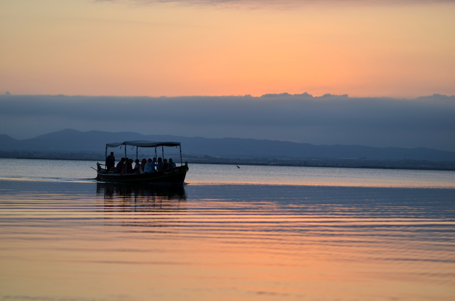 DSC_5343 (1)